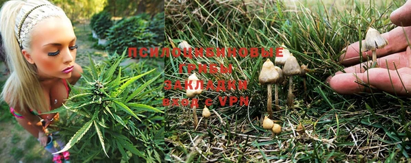 бутират Алзамай