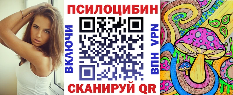 где купить   Аркадак  Псилоцибиновые грибы ЛСД 